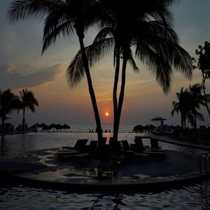 Meet your Posher, Anne